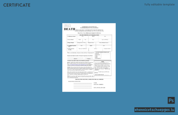 Vorschau einer Sterbeurkunde des Commonwealth of Kentucky, USA